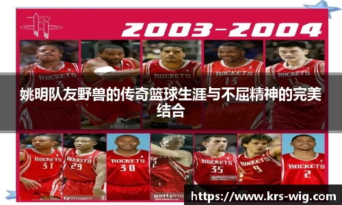 jn江南体育登录入口