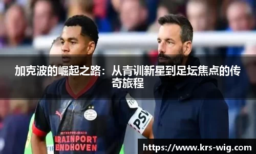 jn体育
