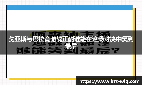 jn体育