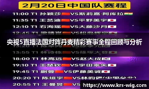 央视5直播法国对阵丹麦精彩赛事全程回顾与分析