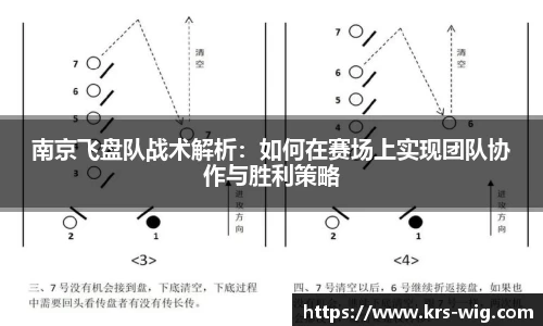 南京飞盘队战术解析：如何在赛场上实现团队协作与胜利策略